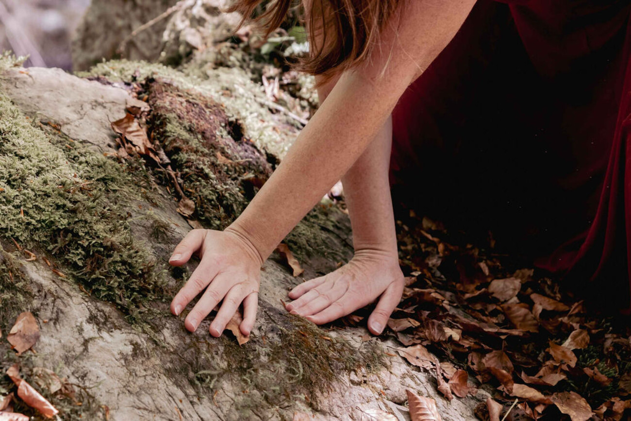 Prendre soin des racines de vie avec les constellations familiales