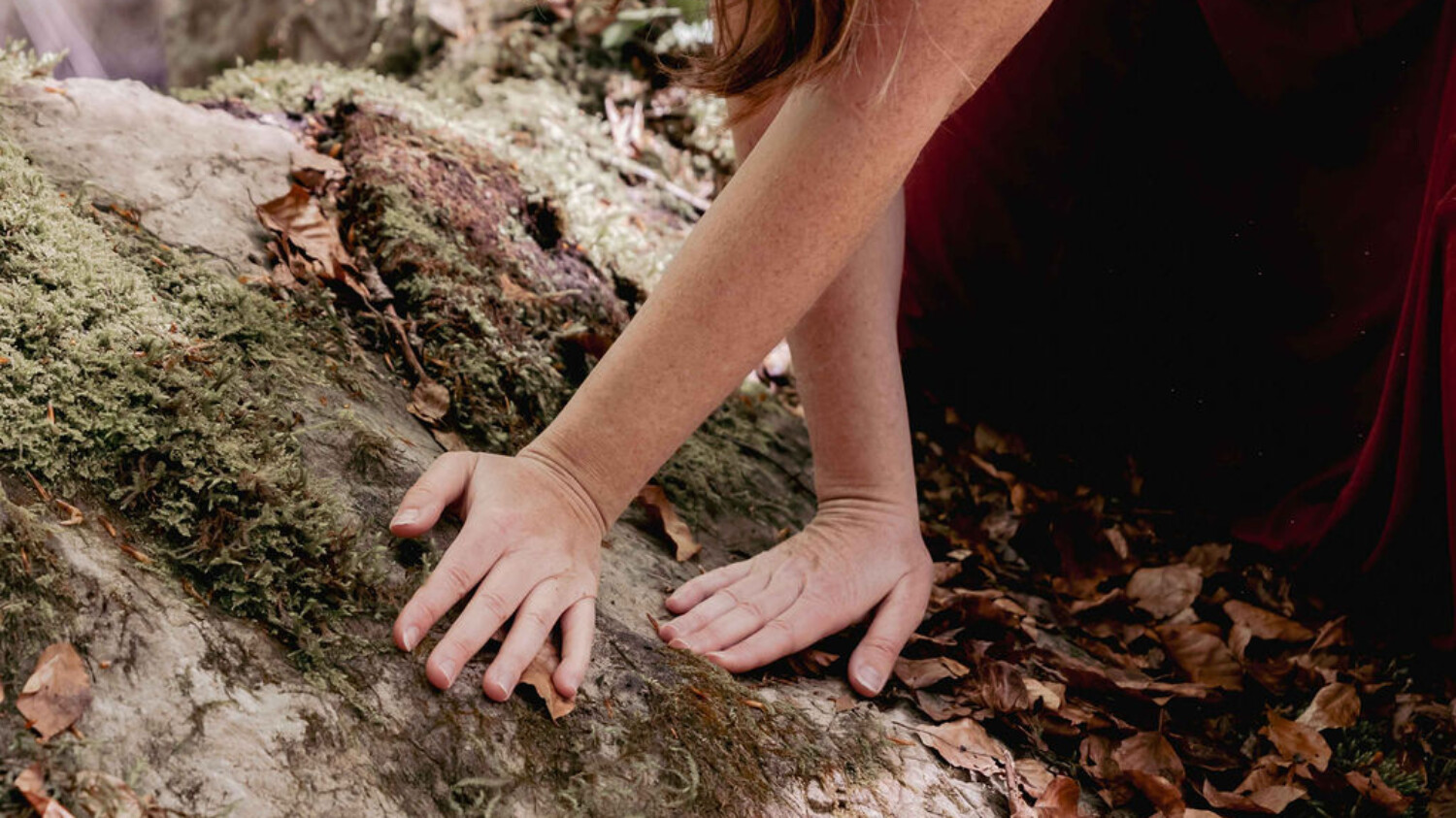 Prendre soin des racines de vie avec les constellations familiales