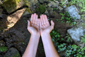 KINESIOLOGIE CONSCIENTE