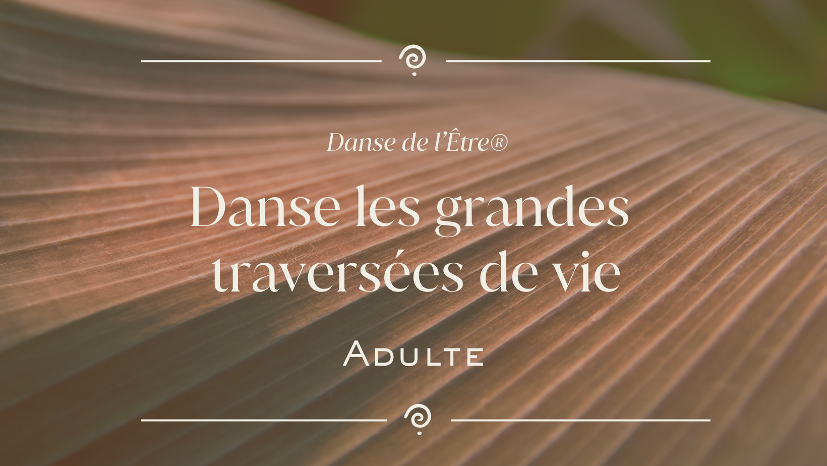 Danse les grandes traversées de vie