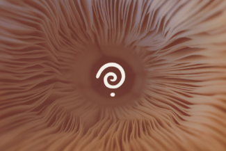 DANSER LES GRANDES TRAVERSÉES DE VIE | NAISSANCE